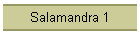 Salamandra 1