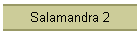 Salamandra 2