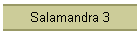 Salamandra 3