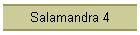 Salamandra 4