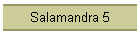Salamandra 5