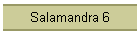 Salamandra 6