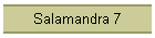 Salamandra 7