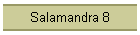 Salamandra 8