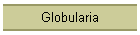 Globularia