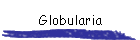 Globularia