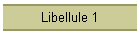 Libellule 1