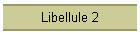 Libellule 2