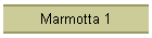 Marmotta 1
