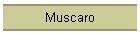Muscaro