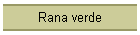 Rana verde
