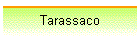 Tarassaco
