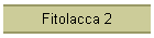 Fitolacca 2