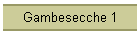 Gambesecche 1