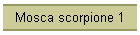 Mosca scorpione 1