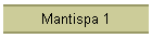 Mantispa 1