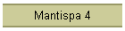Mantispa 4