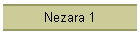 Nezara 1