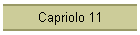 Capriolo 11