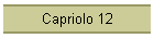 Capriolo 12