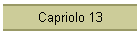 Capriolo 13