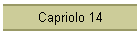 Capriolo 14