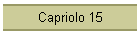 Capriolo 15