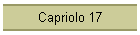 Capriolo 17