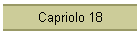 Capriolo 18