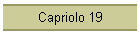 Capriolo 19