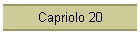 Capriolo 20