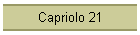 Capriolo 21