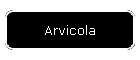 Arvicola