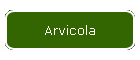 Arvicola