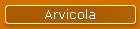 Arvicola