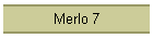 Merlo 7
