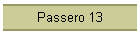 Passero 13