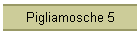 Pigliamosche 5