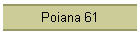 Poiana 61